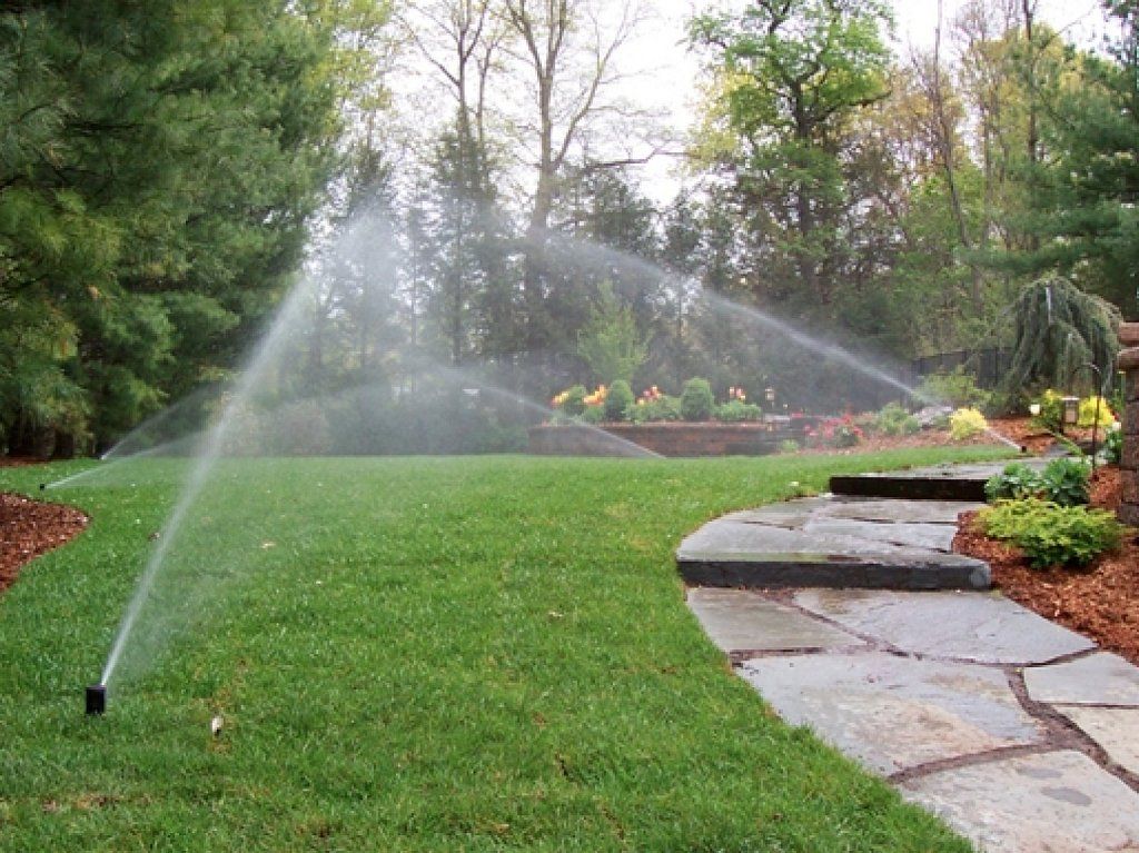 Proyecto de germinación en invernadero