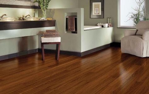 Proyecto laminado
